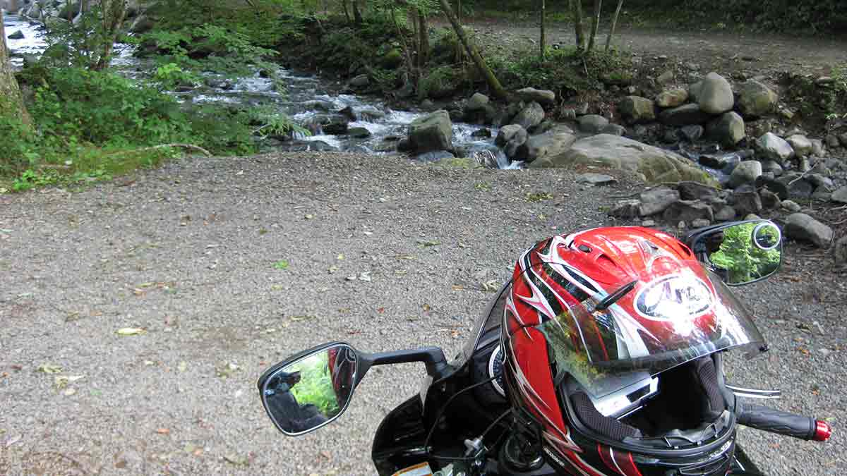 道志の森キャンプ場のテント設営地の様子