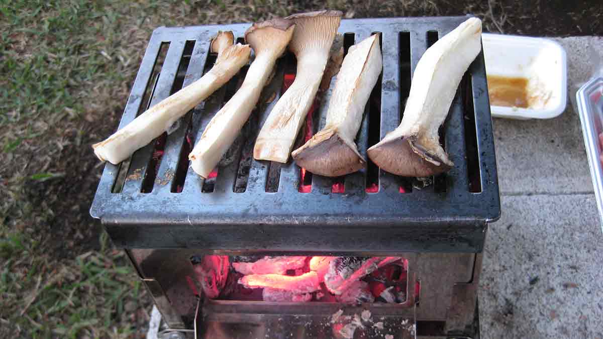 エリンギの炭火焼き