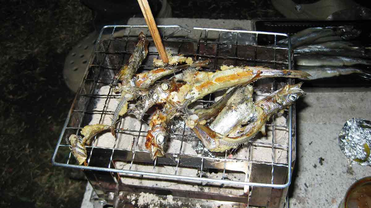 焚火台でししゃもを焼いている様子